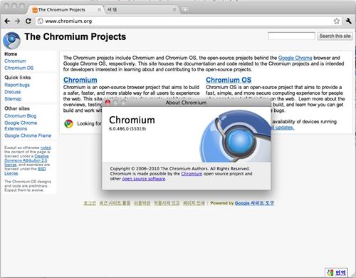 Скриншот программы Chromium для windows vista