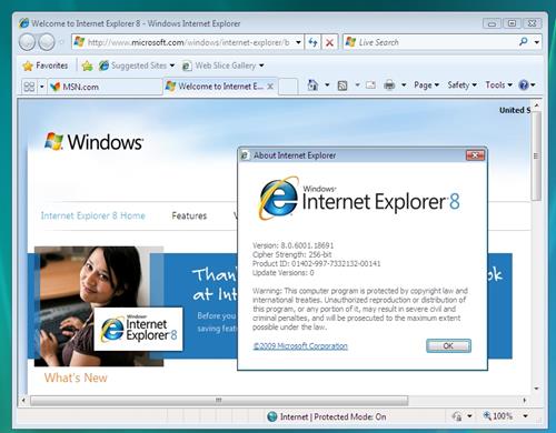 Скриншот программы Internet Explorer 11